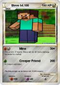 Steve lvl.100