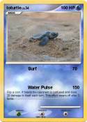 toturtle