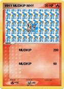 WHY MUDKIP WHY