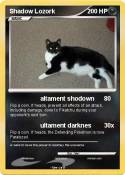 Shadow Lozork