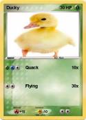 Ducky