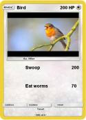 Bird