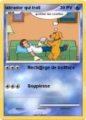 labrador qui