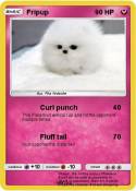 Fripup
