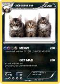 catsssssssss