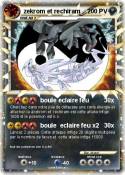 zekrom et rechi