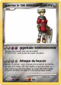 guerrier lv 100