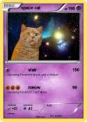 space cat