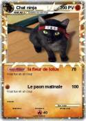 Chat ninja