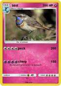 bird