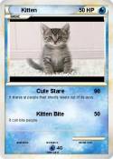 Kitten