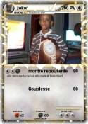 zokor