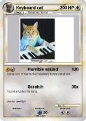 Keyboard cat