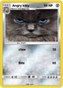 Angry kitty