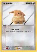 baby rabbit