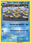 DUCK HOARD,