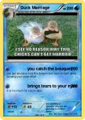 Duck Marriage