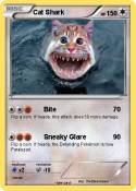 Cat Shark