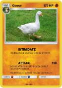Goose