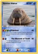 Random Walrus