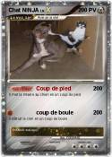 Chat NINJA