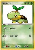 turtwig lv.11