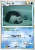 Crazy Cat