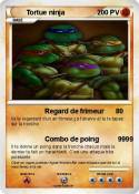 Tortue ninja