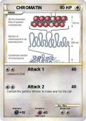 CHROMATIN