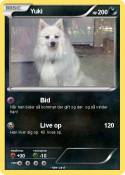 Yuki