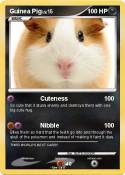 Guinea Pig