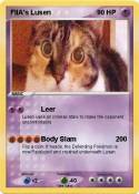 FIIA's Lusen