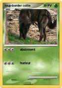 loup-border col