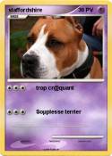 staffordshire