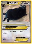 FAT CAT