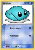 ice lettuce