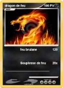 dragon de feu