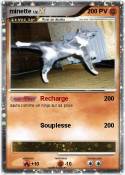 minette