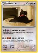 weird cat