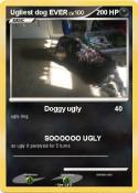 Ugliest dog