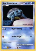 Real Tirtouga