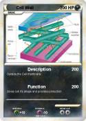 Cell Wall