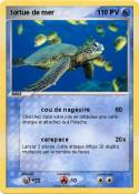 tortue de mer