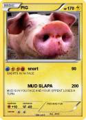 PIG