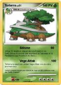 Torterra