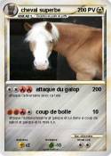 cheval superbe