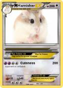 Hamisher