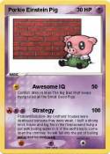 Porkie Einstein