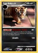 Tiger Baby
