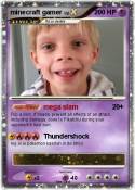 minecraft gamer